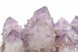 Spectacular Cactus Amethyst Crystal Cluster - South Africa #337111-4
